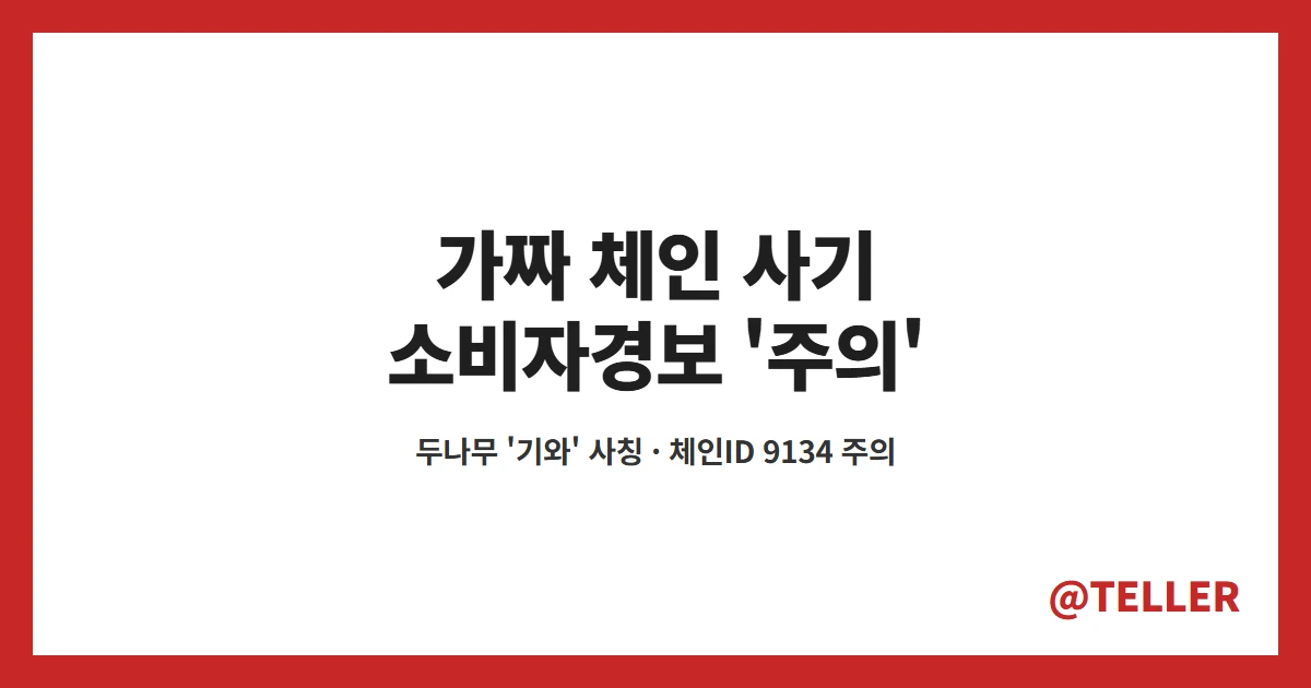 가짜 체인 사기 금감원 소비자경보 주의 두나무 기와 사칭