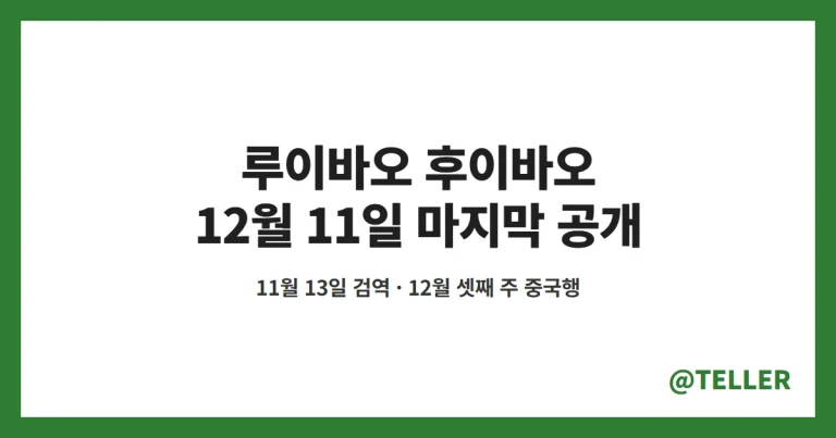 루이바오 후이바오 중국행 – 12월 11일 마지막 공개, 11월 13일 검역 시작·12월 셋째 주 이동·페어웰 이벤트 정리