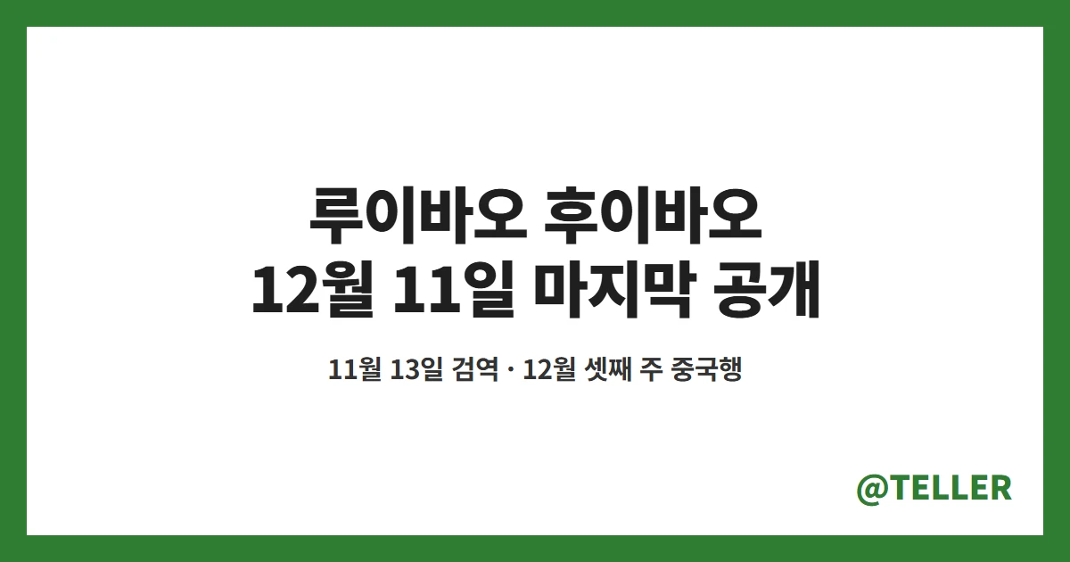 루이바오 후이바오 중국행 12월 11일 마지막 공개