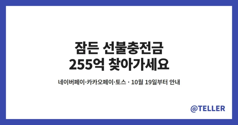 선불충전금 – 네이버페이·카카오페이·토스에 잠든 255억, 19일부터 잔액 안내와 환급 방법 정리