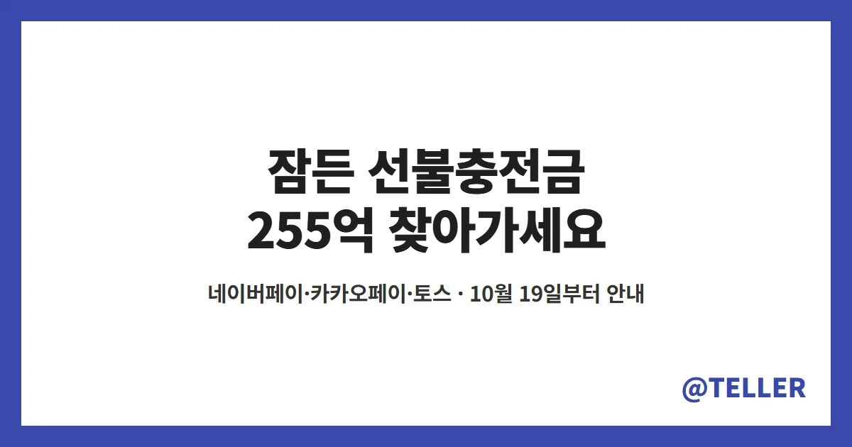 선불충전금 네이버페이 카카오페이 토스 잠든 255억 환급 방법