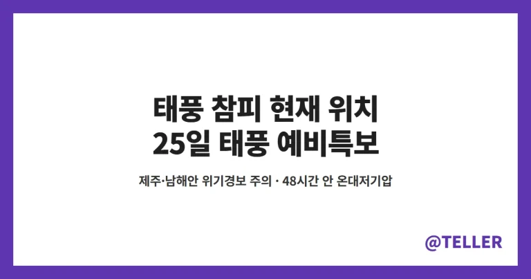 태풍 참피 현재 위치 – 25일 제주·남해 바깥 먼바다 태풍 예비특보, 제주·남해안 위기경보 ‘주의’…48시간 안 온대저기압 전망 정리