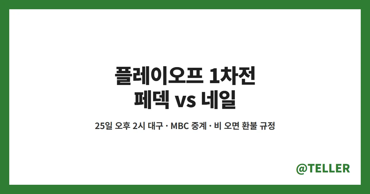 플레이오프 1차전 KIA 삼성 25일 대구 페덱 네일 선발 우천 순연